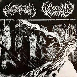 Wormwood / Fall of the Bastards: Split 7"
